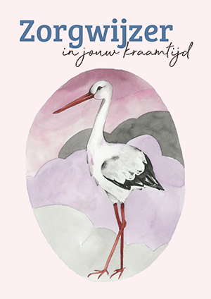 Zorgwijzer NL (Doos 40 stuks)